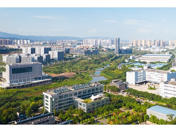 浙江加厚大号垃圾袋批发客户案例分享